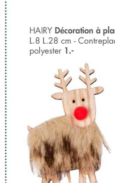 hairy décoration à pla