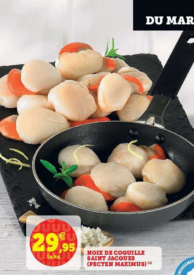 noix de coquille saint jacques (pecten maximus)