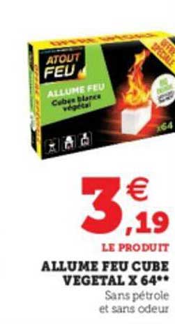 allume feu cube végétal x64