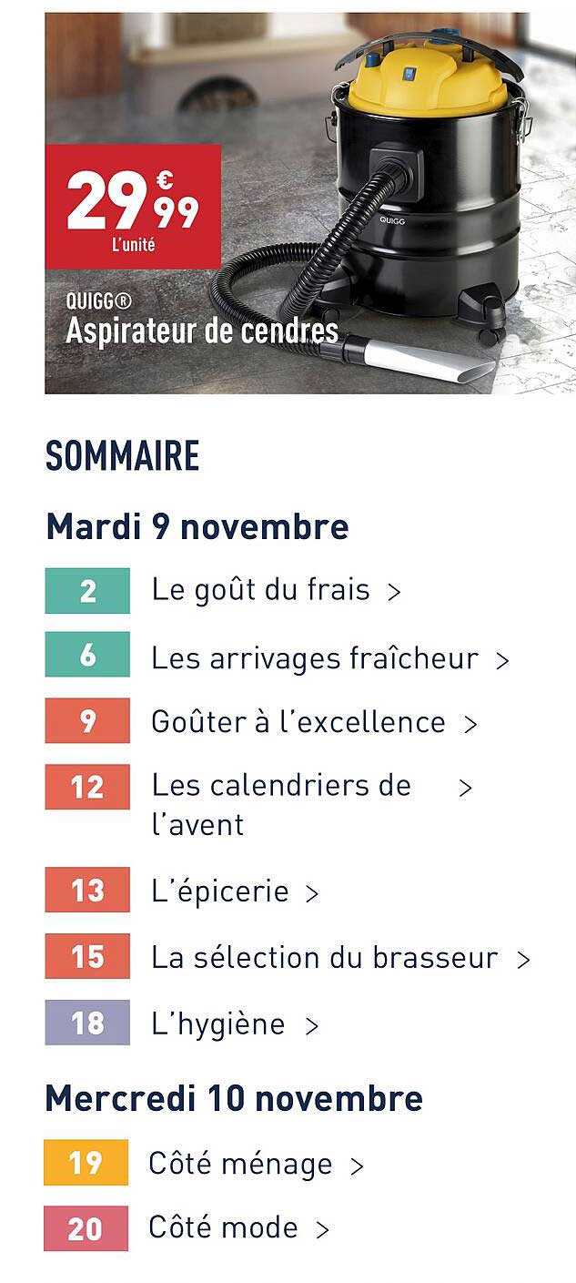 aspirateur de cendres quigg®