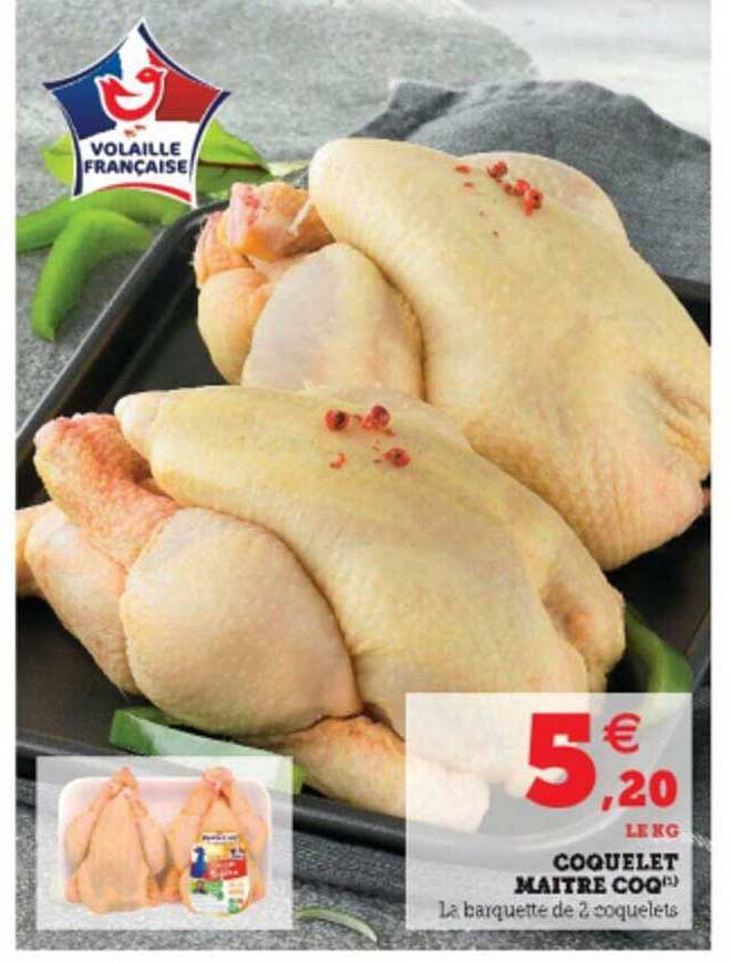 coquelet maître coq