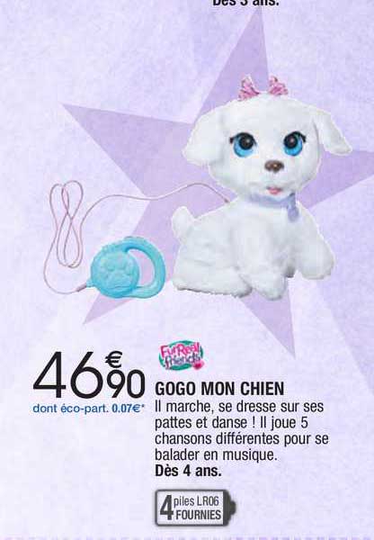 gogo mon chien