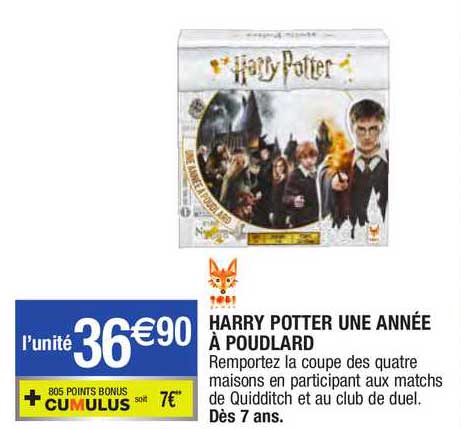 harry potter une année à poudlard