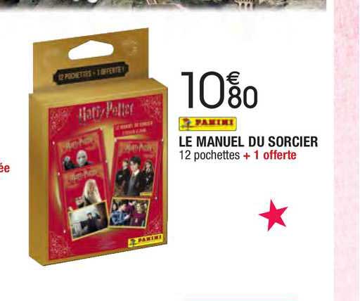 Le Manuel Du Sorcier Panini