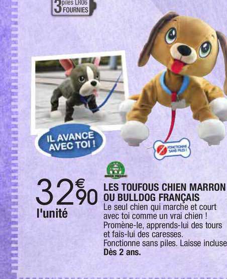 les toufous chien marron ou bulldog français