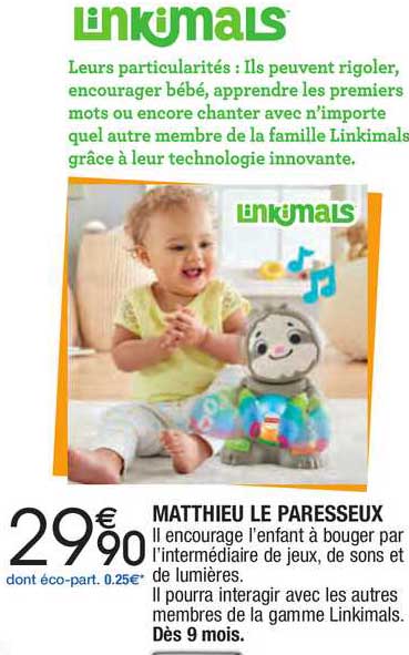 matthieu le paresseux