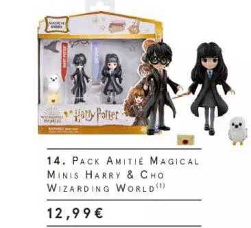 pack amitié magical minis harry & cho wizarding world