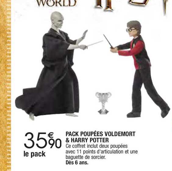 pack poupées voldemort & harry potter