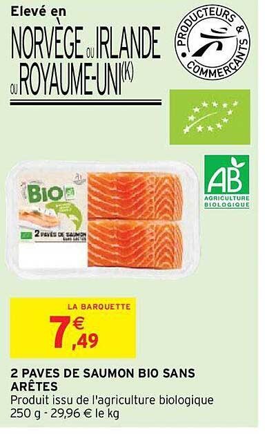 2 pavés de saumon bio sans arêtes