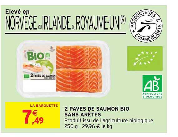 2 pavés de saumon bio sans arêtes