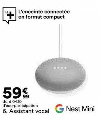 assistant vocal nest mini