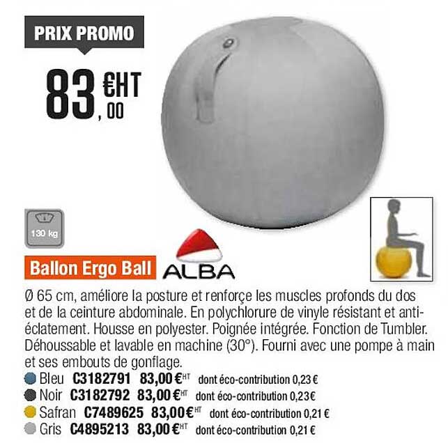 Ballon Ergo Ball Alba