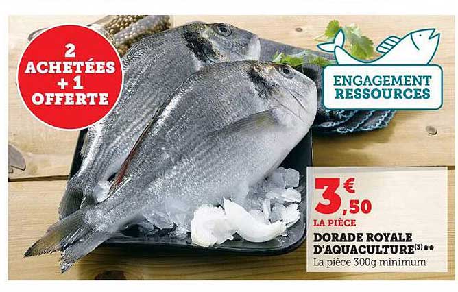 Dorade Royale D'aquaculture