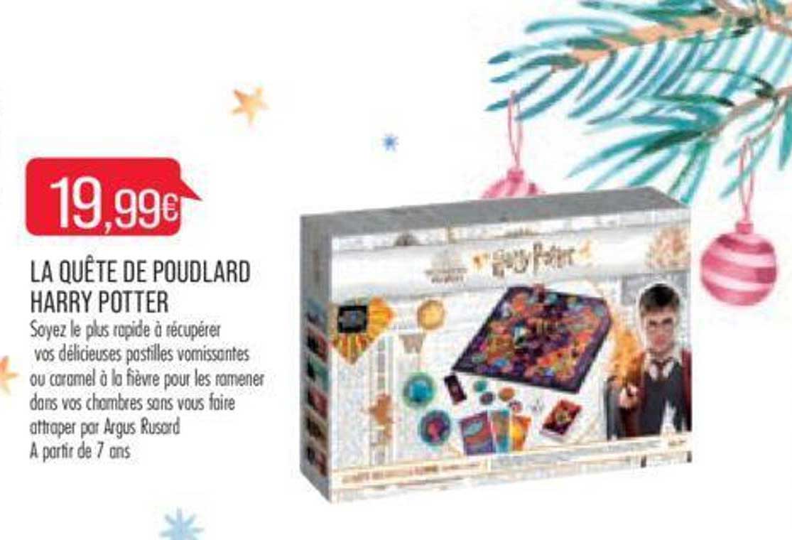 la quête de poudlard harry potter