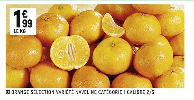 orange sélection variété naveline catégorie 1 calibre 2-3