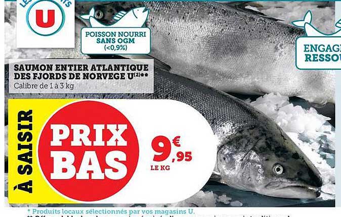 Saumon Entier Atlantique Des Fjords De Norvège U