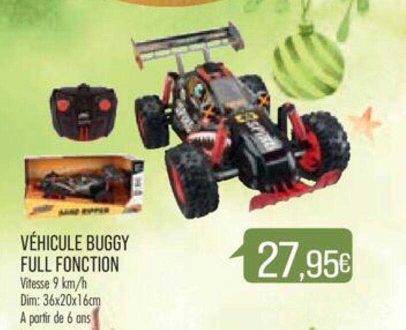 véhicule buggy full fonction