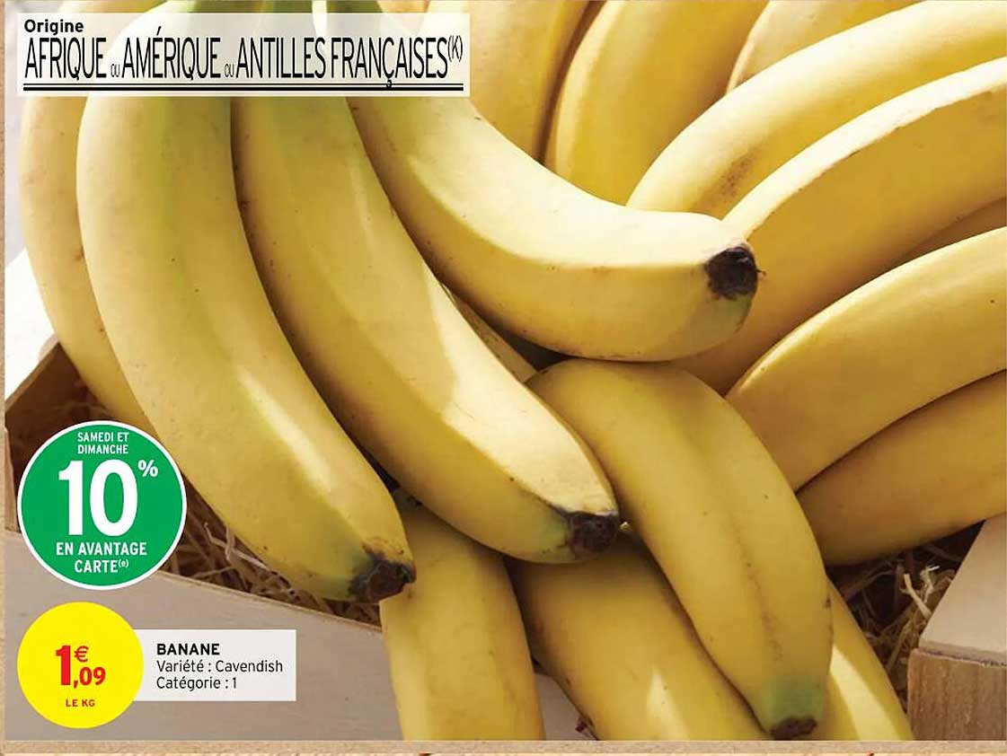 Banane Cavendish