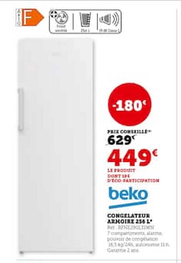 Congélateur Armoire 256 L Beko