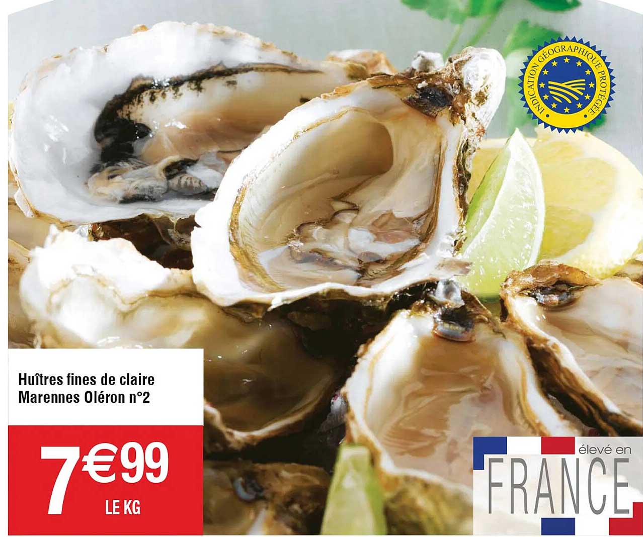 huîtres fines de claire marennes oléron n°2