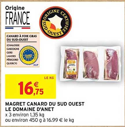magret canard du sud ouest le domaine d'anet