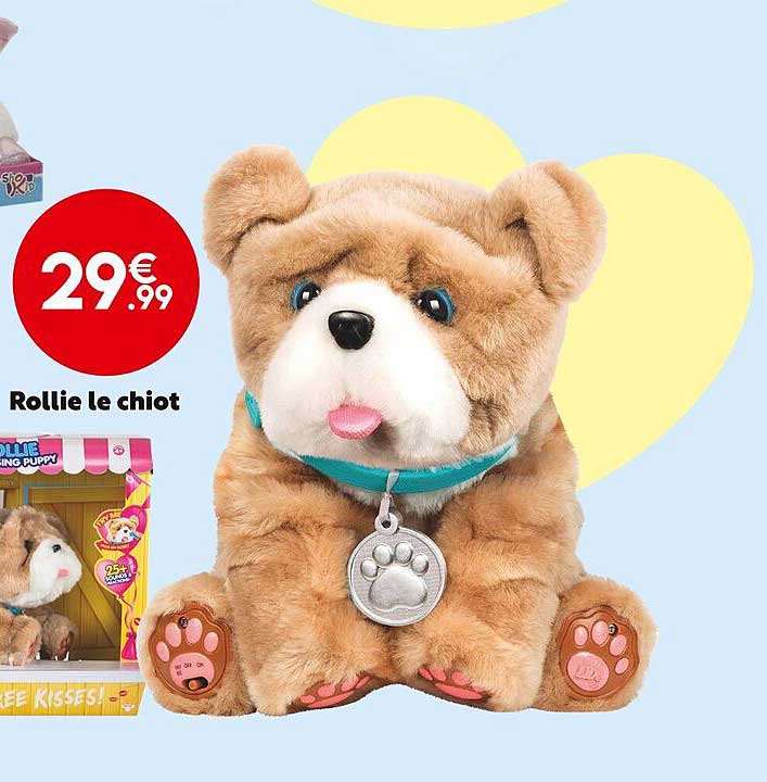 rollie le chiot