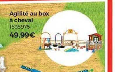 Agilité Au Box à Cheval