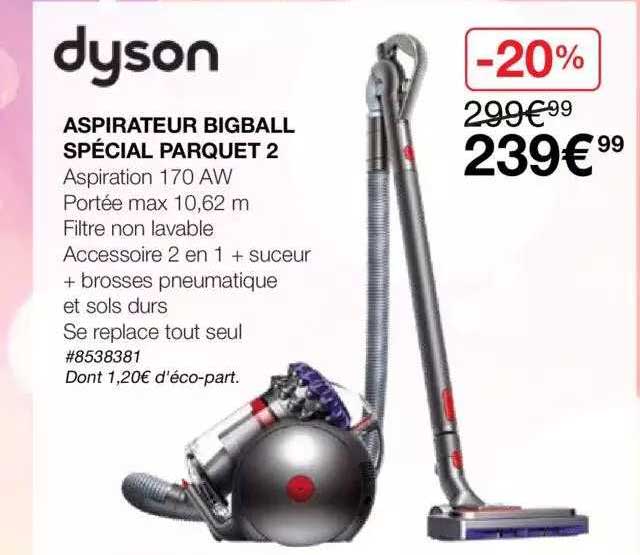 Aspirateur Bigball Spécial Parquet 2 Dyson