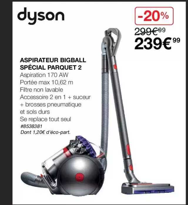 Aspirateur Bigball Spécial Parquet 2 Dyson