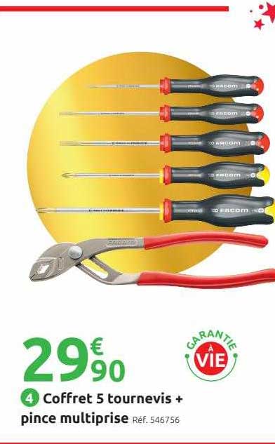 Coffret 5 Tournevis + Pince Multiprise
