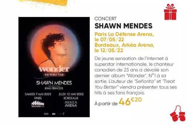 concert - shawn mendes