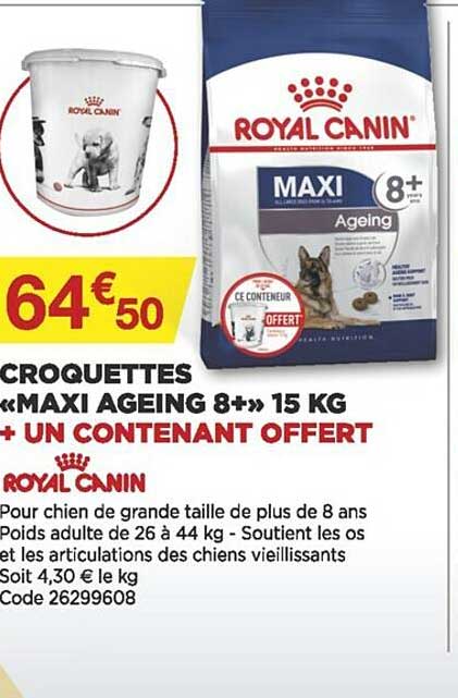 croquettes «maxi ageing 8+» 15 kg + un contenant offert royal canin