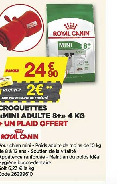 croquettes «mini adulte 8+» 4 kg + un plaid offert royal canin