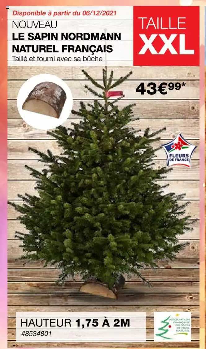 le sapin nordmann naturel français