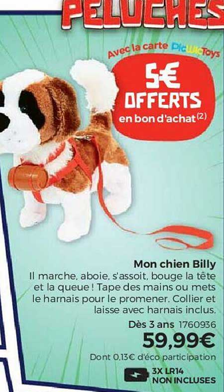 mon chien billy