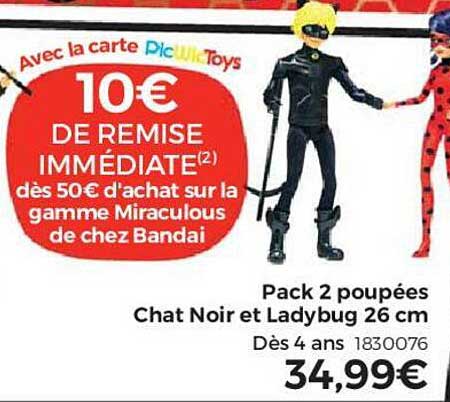 pack 2 poupées chat noir et ladybug 26 cm