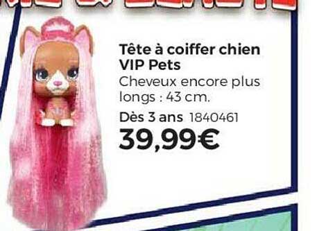 tête à coiffer chien vip pets