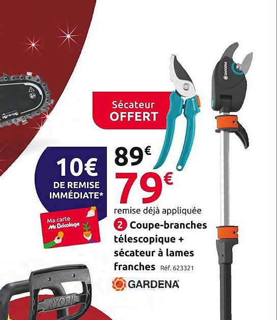 Coupe-branches Téléscopique + Sécateur à Lames Franches