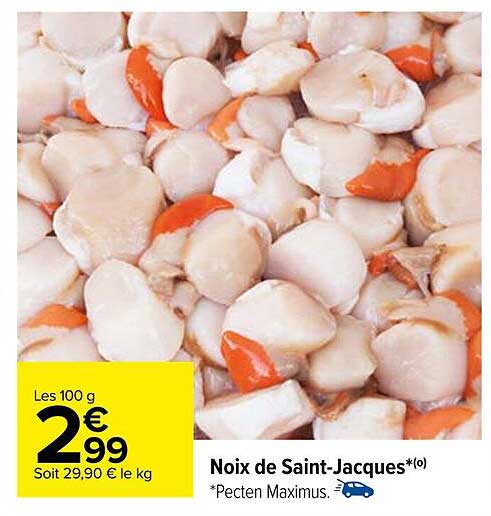 noix de saint-jacques