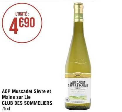 aop muscadet sèvre et maine sur lie club des sommeliers