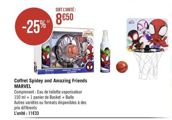 coffret spidey and amazing friends marvel