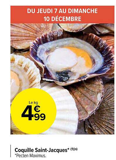 coquille saint-jacques