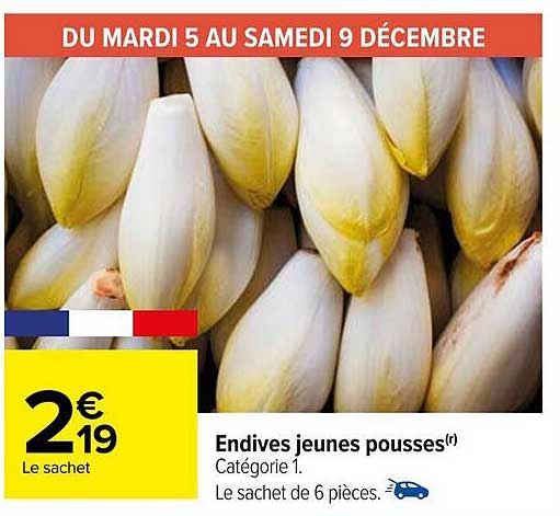 endives jeunes pousses