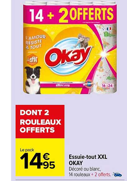 essuie-tout xxl okay