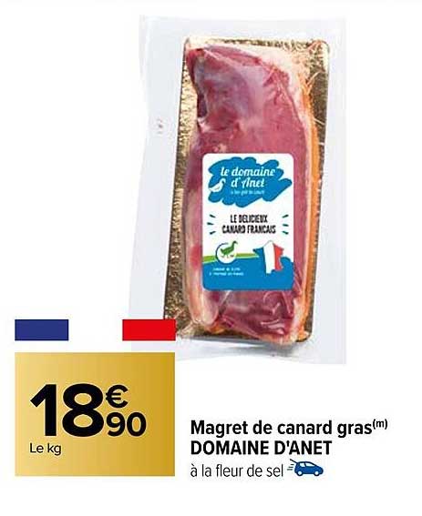 magret de canard gras domaine d'anet