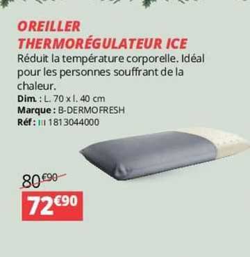 Oreiller Thermorégulateur Ice