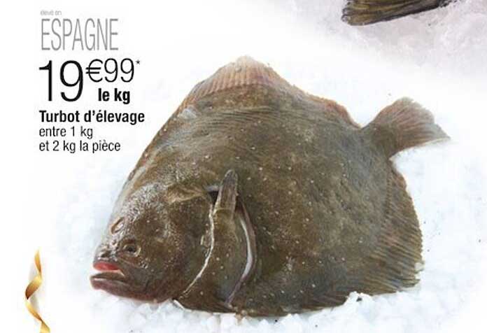turbot d'élevage
