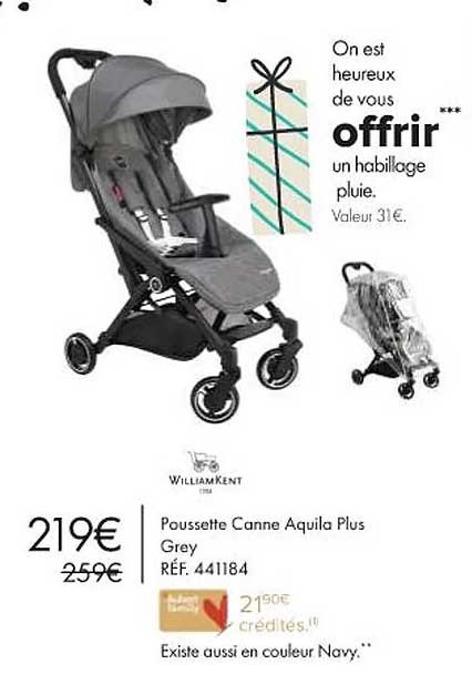 william kent poussette canne aquila  plus grey