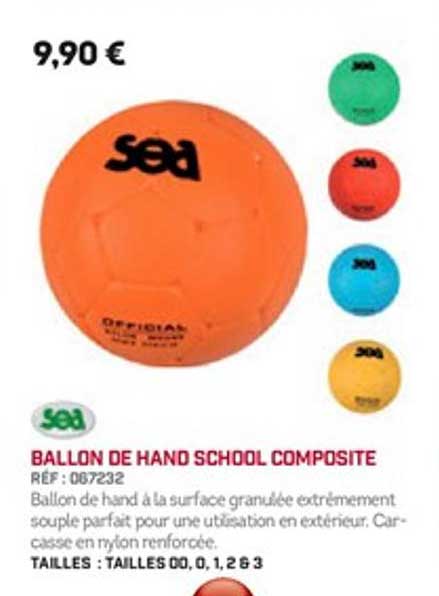 ballon de hand school composite