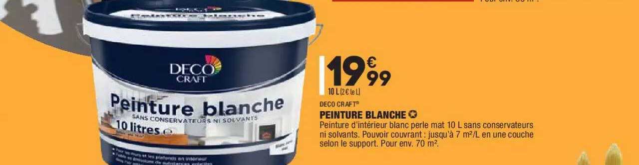Peinture Blanche Deco Craft